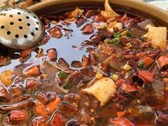 -青城甲(青城山店)