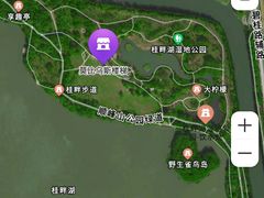 -顺峰山公园