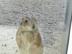 -西安曲江海洋极地公园