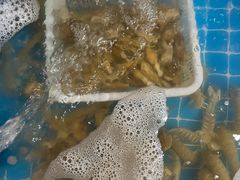 -锅老头铁锅炖•大锅蒸汽海鲜(韩乐坊店)