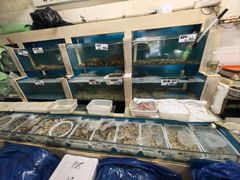 -胶东海鲜大排档(北太平庄店)
