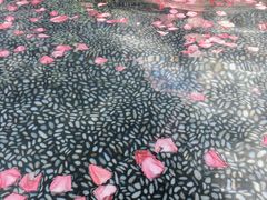 -厦门日月谷温泉渡假村