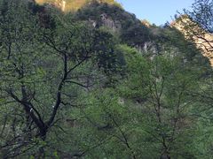 -青峰峡国家森林公园