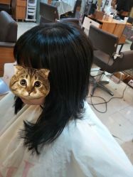 -JK奇积发型连锁机构