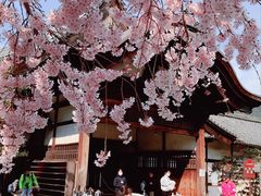 -醍醐寺