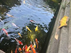 -寒山寺