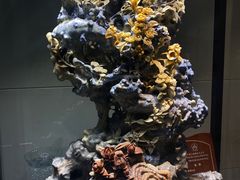 -青田石雕博物馆