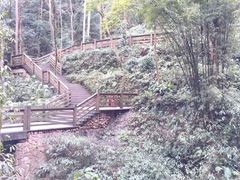 -青城山