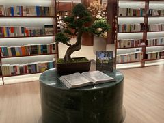 -二酉书店TOYOU BOOKS