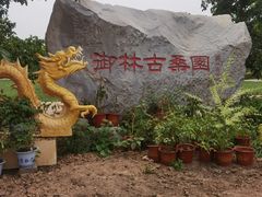 -御林古桑园