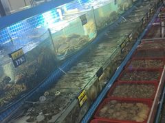 -望海潮海鲜店 特色家常菜(在海一方店)