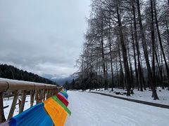 -硗碛藏寨·神木垒景区