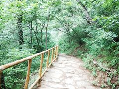 -北京上方山国家森林公园