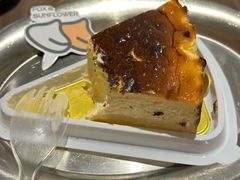 -狐狸和向日葵(北京路店)