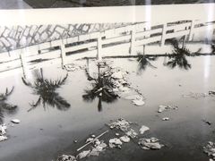 -苏州河梦清园环保主题公园