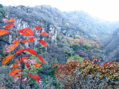 -黑龙潭风景区