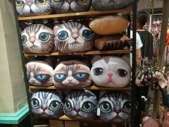 -猫咪博物馆(顶澳仔猫街店)