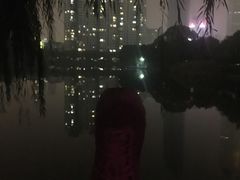 -西北湖绿化广场
