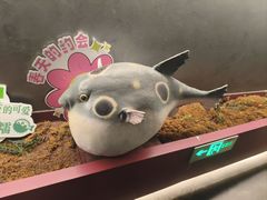 -肆月河豚·新淮扬菜·烤鸭(中关村店)