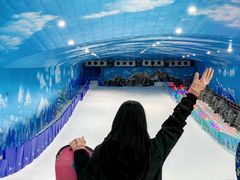 -世界之窗阿尔卑斯冰雪世界