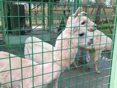 -广州融创文旅城