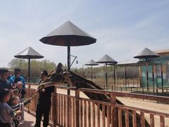 -鄂尔多斯野生动物园