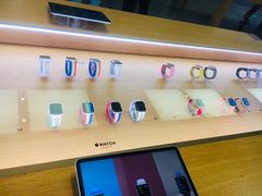 -Apple零售店(深圳益田假日广场店)