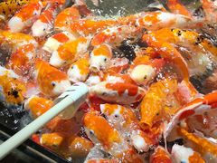 -太平洋海底世界