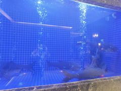 -忆江南·临江鱼馆