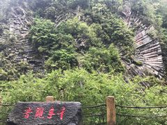 -望天鹅景区