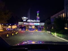 -枫花园汽车电影院(朝阳公园店)