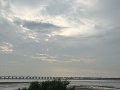 -宝安西湾红树林湿地公园