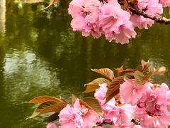 -尚湖风景区