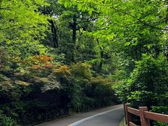 -杭州半山国家森林公园