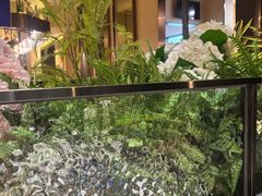-廊亦舫Lang Yi Fang Restaurant(金桥店)