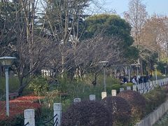 -麦当劳(田林好又多店)