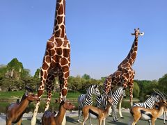 -北京野生动物园