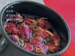 -郑州美盛喜来登大酒店