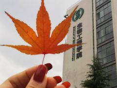 -江南大学(蠡湖校区)