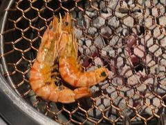 -牛焱·烧肉酒肆(五大道店)