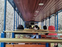 -北京欢乐谷