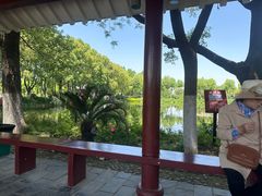 -金银湖国家城市湿地公园