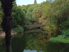 -叶家花园