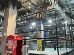-运动派(北京店)