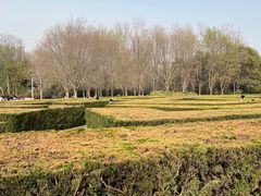 -郑州植物园