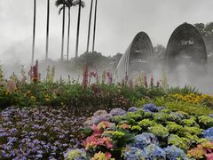 -桃花涧