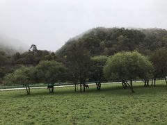 -大水川景区