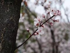 -东林大峡谷