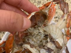 -禾斗海鲜自助(市南银座店)