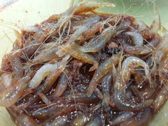 android_upload_pic-湖鲜楼